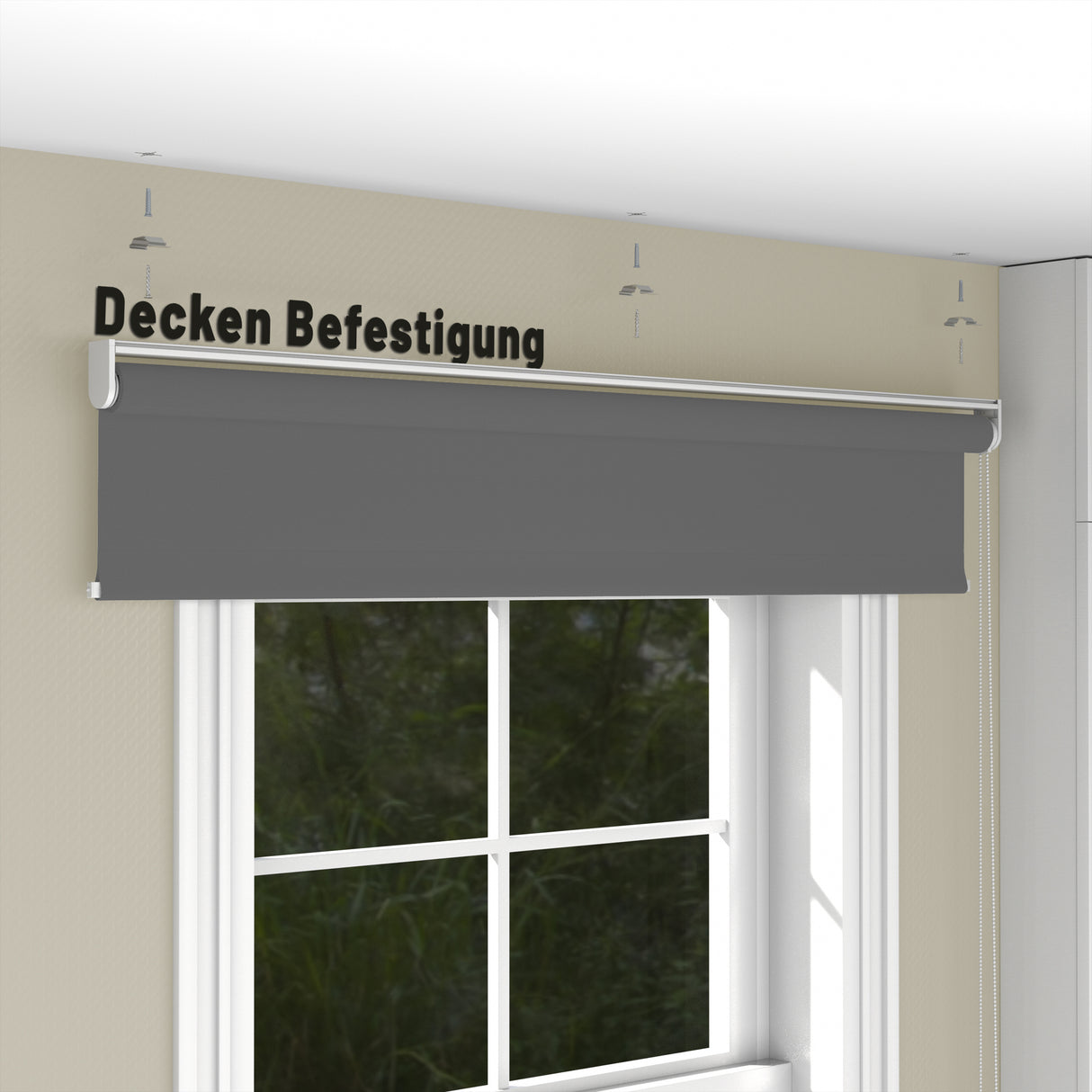 Rollo Tageslicht - Standardgrößen mit Bohren