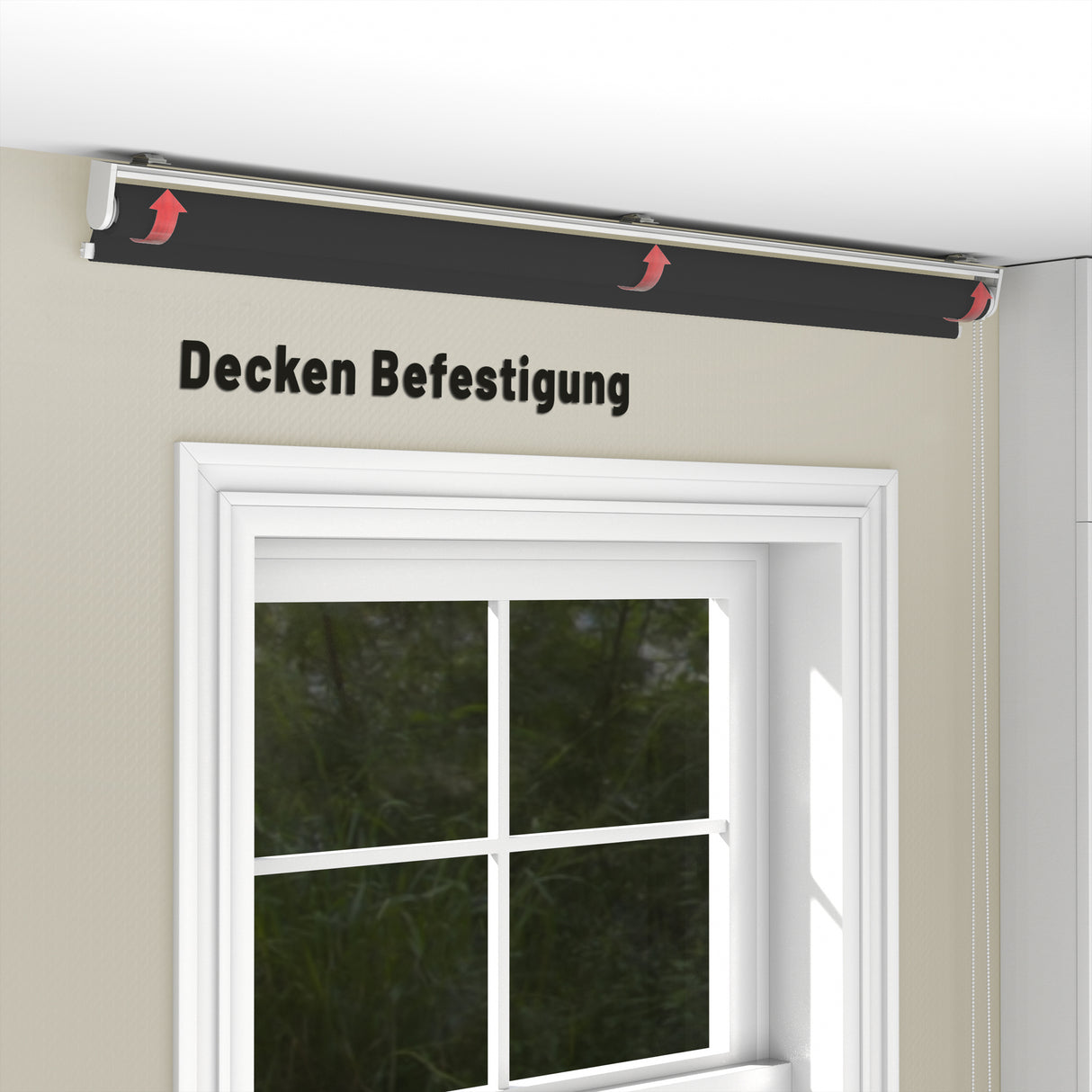 Rollo Tageslicht - Standardgrößen mit Bohren