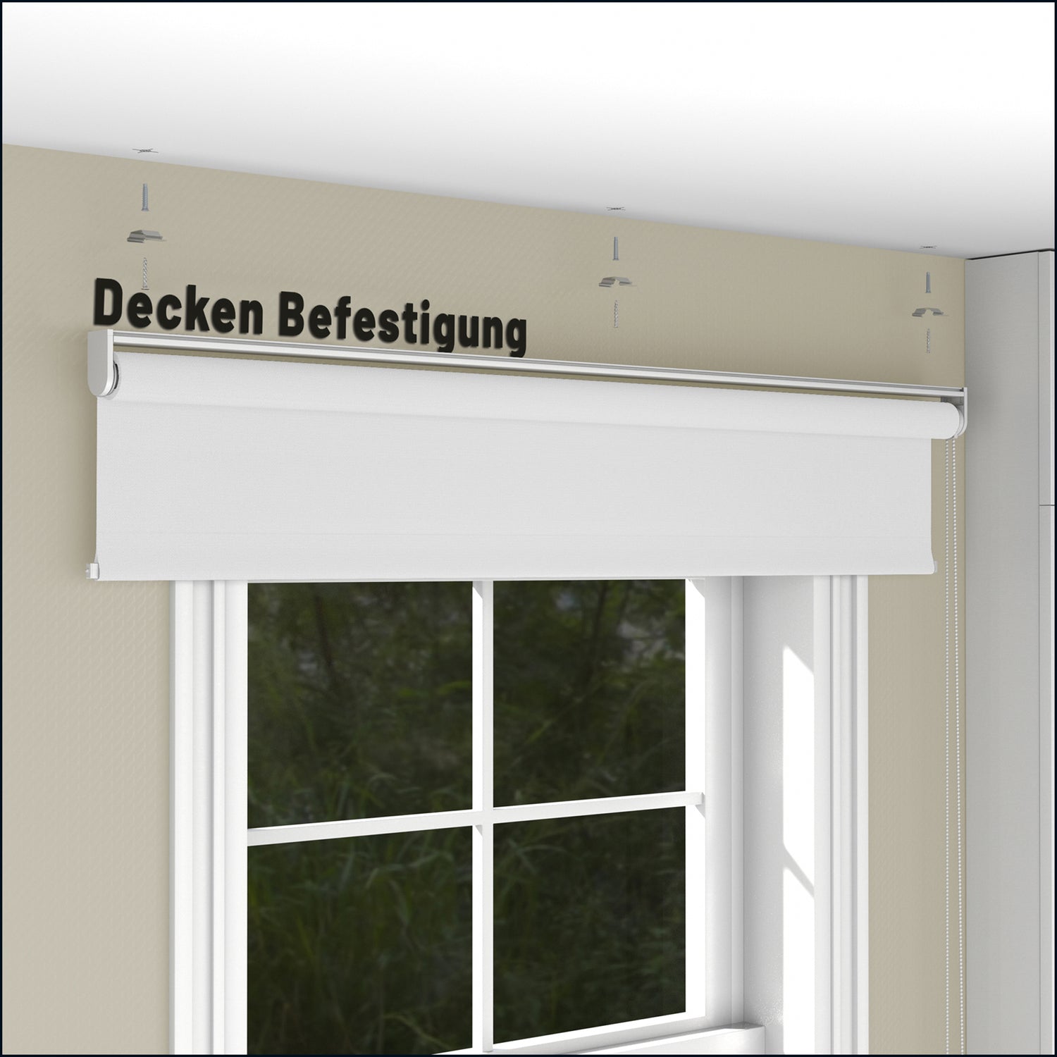 Rollo Tageslicht - Standardgrößen mit Bohren