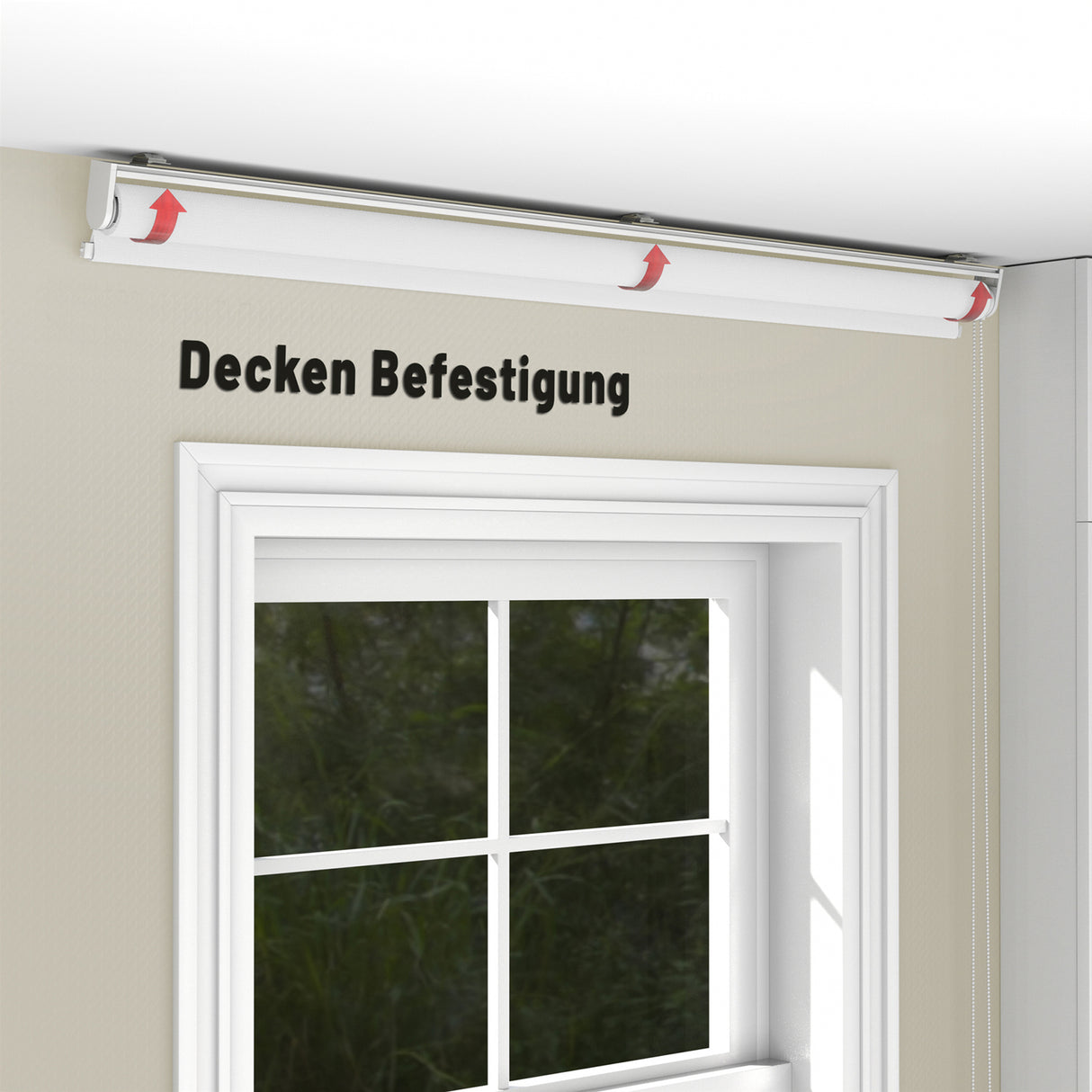 Rollo Tageslicht - Standardgrößen mit Bohren