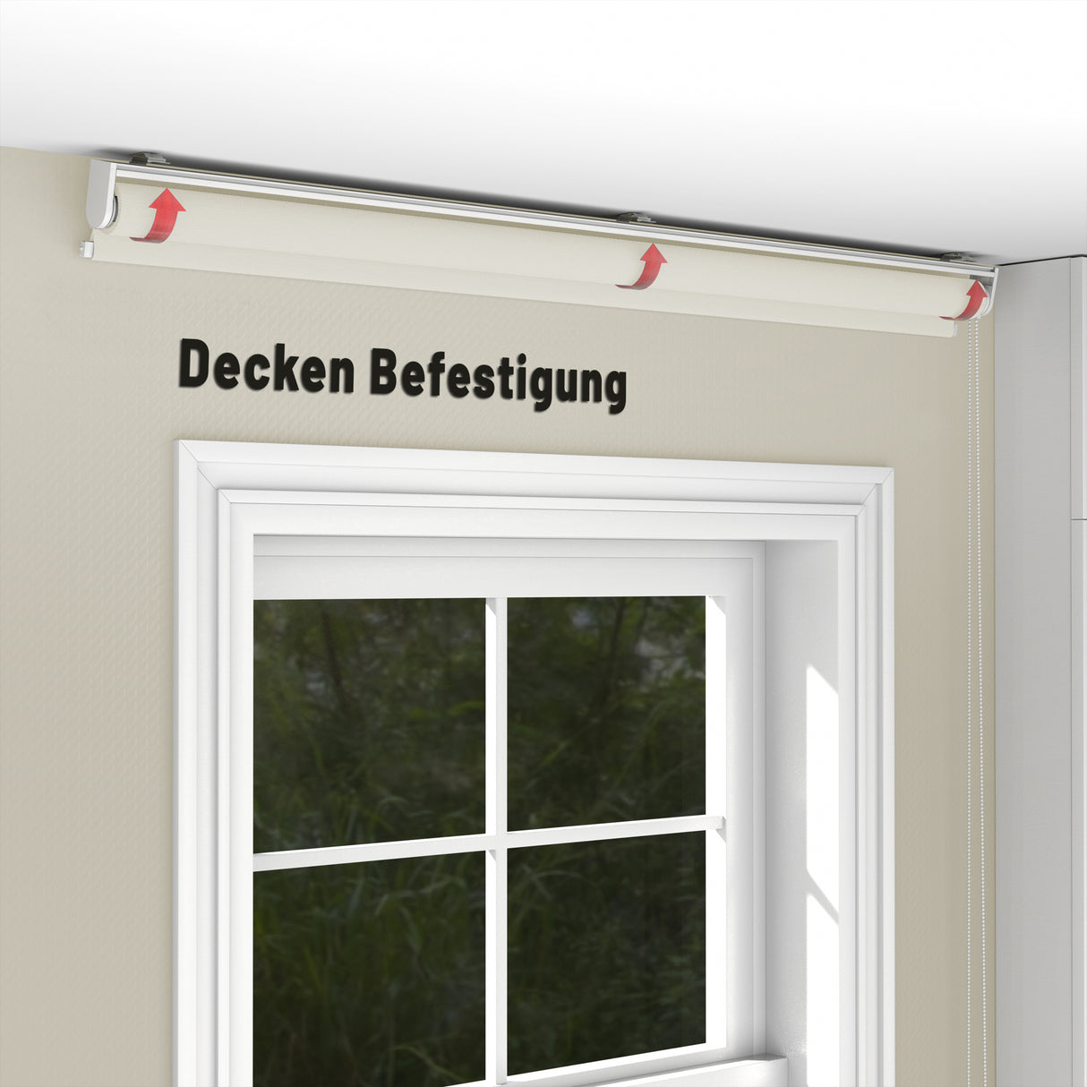 Rollo Tageslicht - Standardgrößen mit Bohren