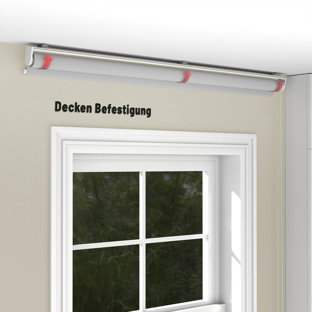 Rollo Tageslicht - Standardgrößen mit Bohren