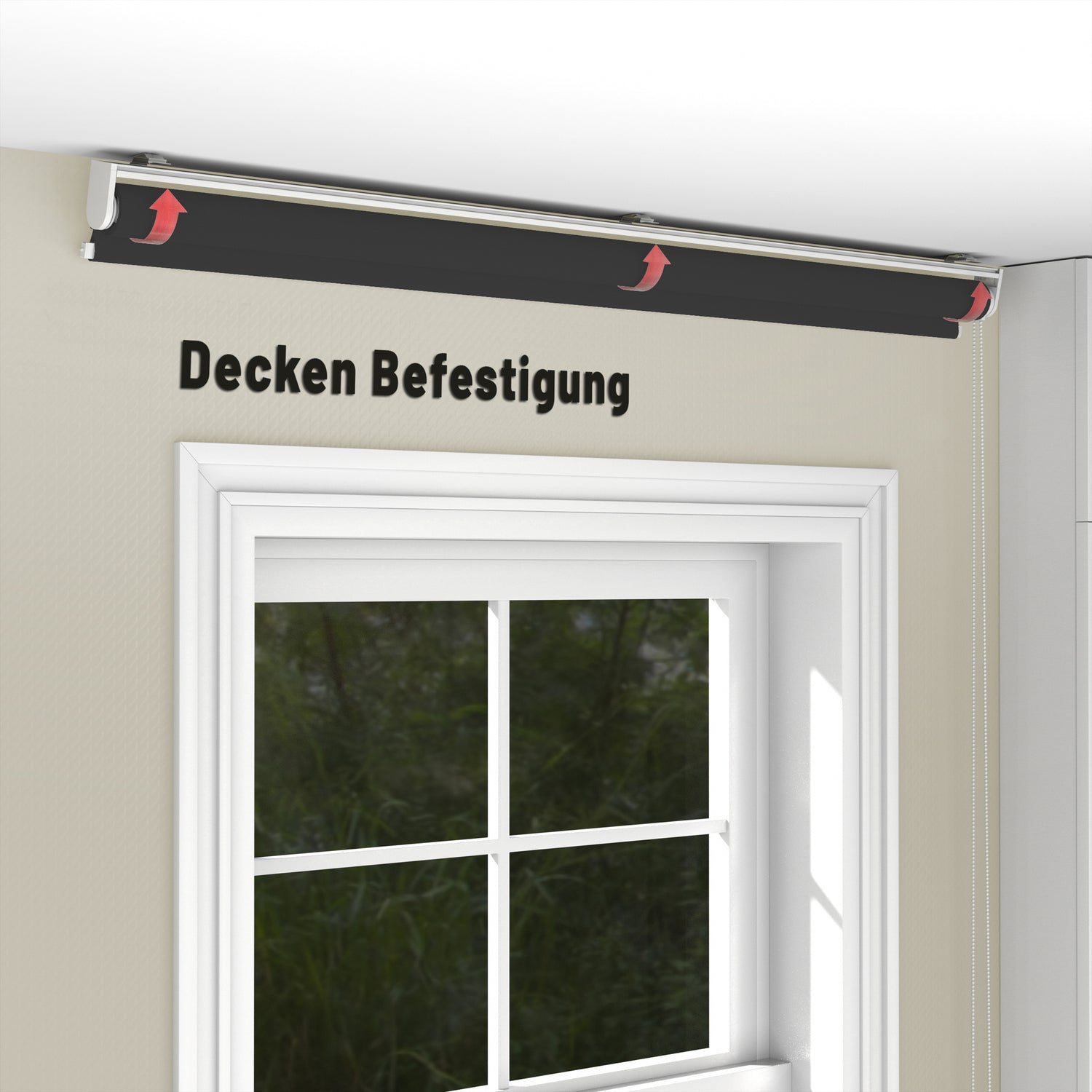 Rollo Tageslicht - Standardgrößen mit Bohren